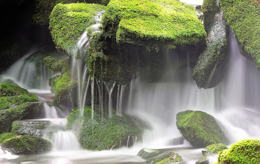 moss-brook-water