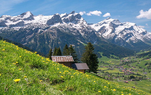 Bernese-Oberland-Switzerland