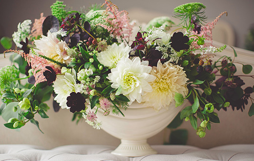 White-and-red-flowers