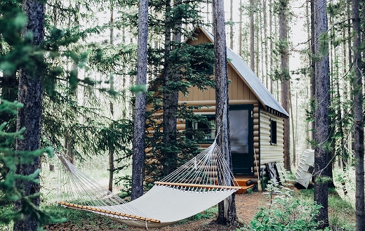 Cabin in the Woods jigsaw puzzle