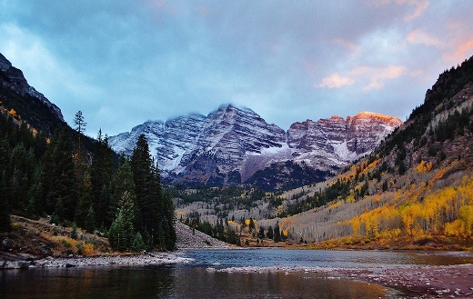 Colorado Aspen jigsaw