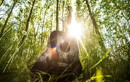 Acoustic guitar puzzle
