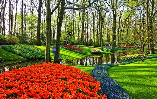flower garden puzzle
