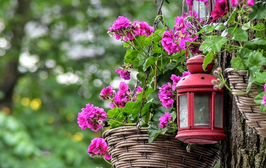 Flowers outdoor jigsaw puzzle