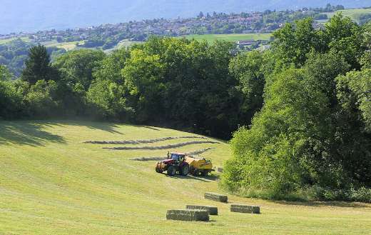 Hay field landscape tractor