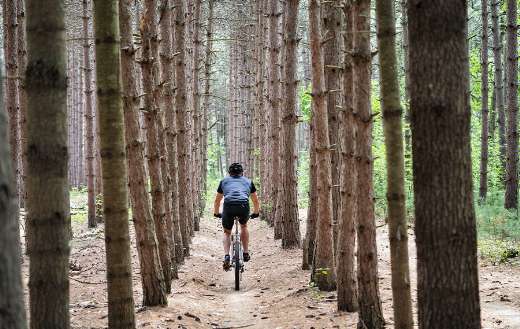 Mountain bike cycling fitness