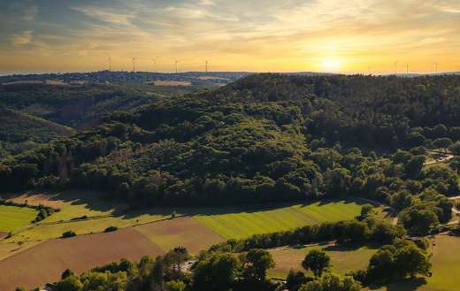 Panorama landscape nature forest sunset mood