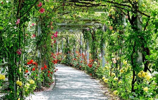 Passage arch path flowers park