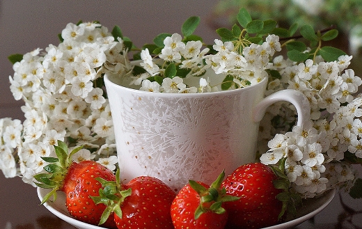 Ripe strawberries cherry flower
