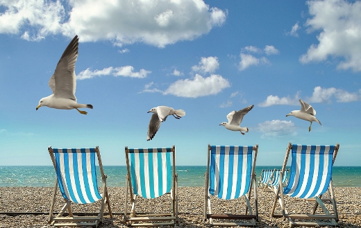 Summer beach chairs seagulls