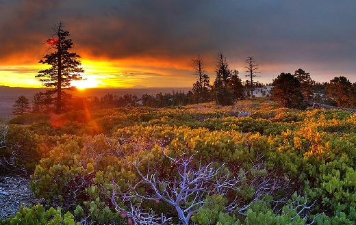 Sunrise sunset scenic nature