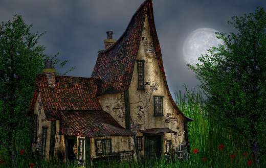 The night moon nature house online
