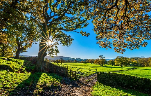 Yorkshire autumn time online