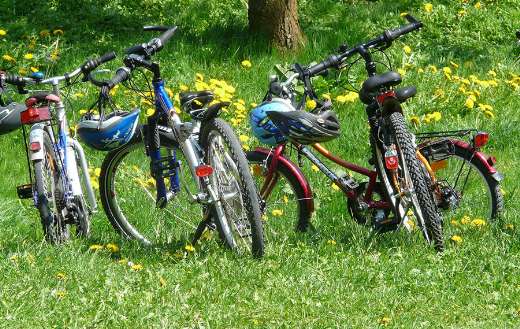 Family outing nature bike