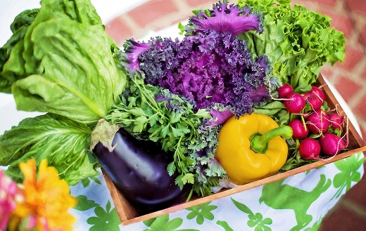 Harvest organic vegetables