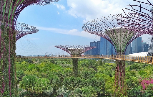 Nice garden Singapore bay puzzle