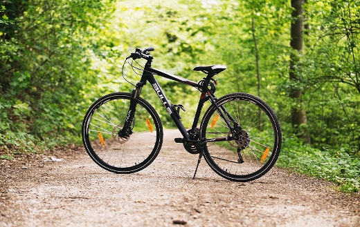 Sports bicycle forest path puzzle