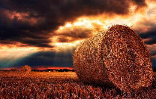 Hay bales straw bales harvest puzzle