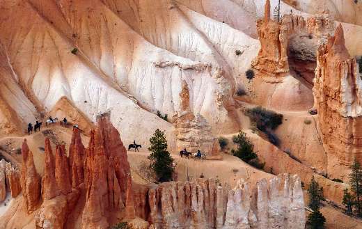 Landscape scenic horseback riding trail