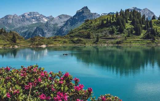 Trubsee Titlis Switzerland Alpine panorama