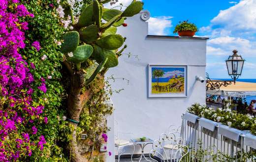 Veranda surrounded by green cactus and pink bougainvillea