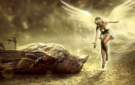 Bird death fantasy