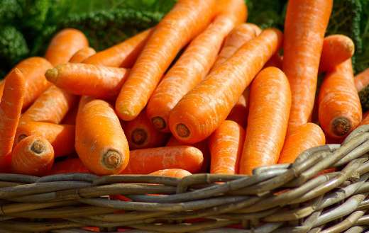 Basket full carrots