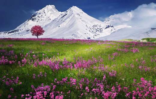 Landscape nature night relaxation puzzle