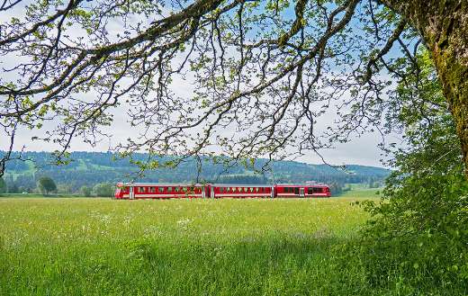 Train in the nature puzzle