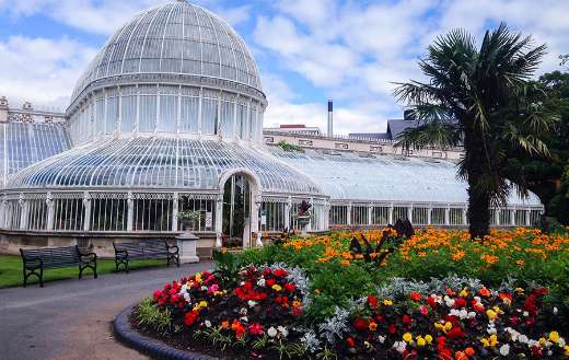 Best fast botanical capital with flower plant