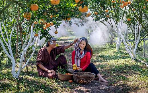 Garden nature Vietnam green scenery beauty and love