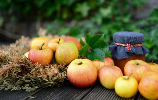 Marmalade apple fruit jam puzzle