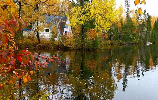 Nature fall landscape colors trees puzzle