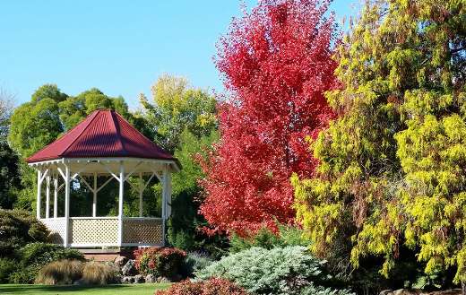 Scenery botanic park garden Australia puzzle