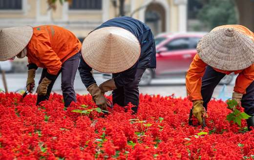 Workers people gardening Hanoi Vietnam puzzle