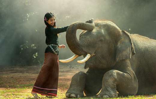 Asian girl with elephant puzzle