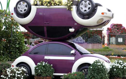 Dubai miracle botanical garden park online