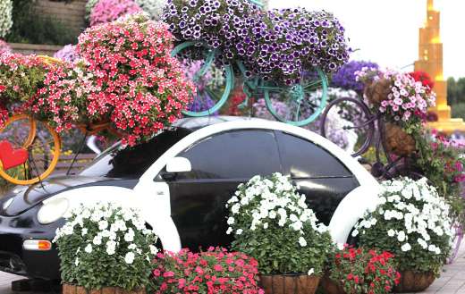 Dubai miracle garden puzzle