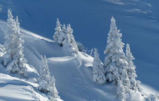 Snow landscape winter online