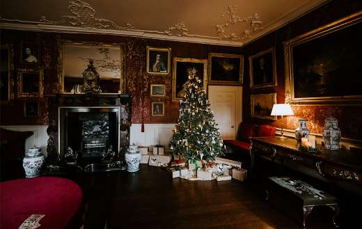 Christmas tree gifts living room online