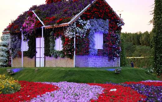 Dubai miracle garden design online