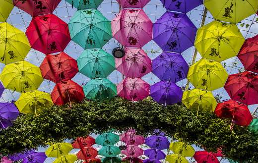 Miracle garden Dubai umbrella decoration