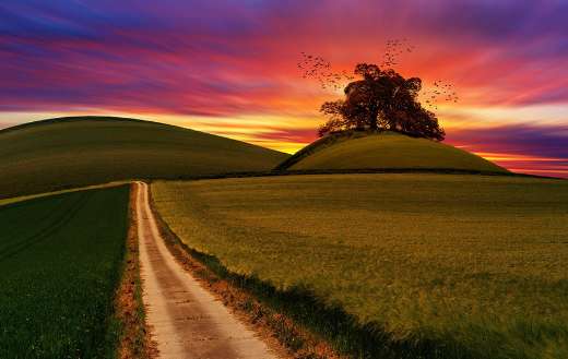 Beautiful landscape nature puzzle