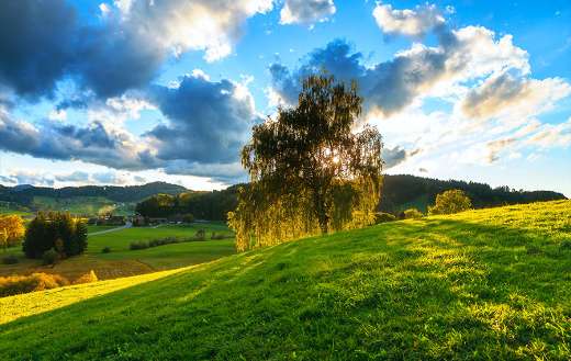 Beautiful scenery landscape