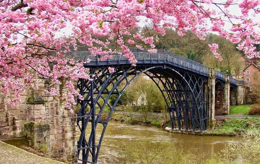 Bridge flowers water online