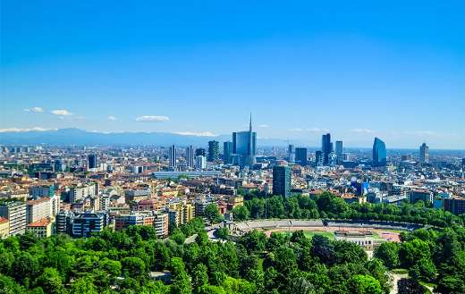 Green leafed trees near concrete buildings