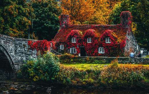 House with beautiful surrounding puzzle