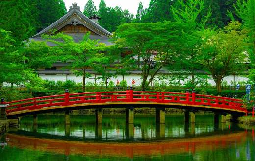 Beautiful bridge in forest puzzle