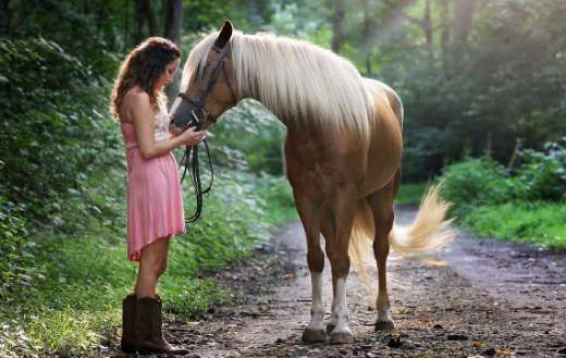 Beautiful horse puzzle