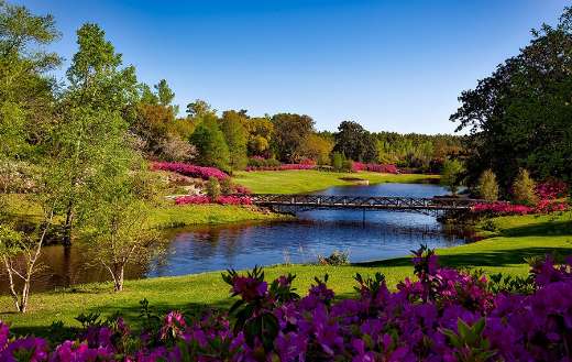 Landscape nature online